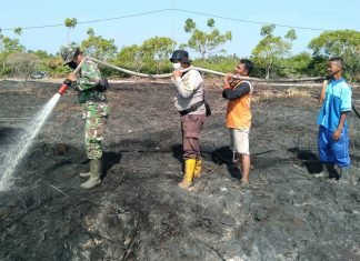 Tim Gabungan Berjibaku Padamkan Karhutla di Rangsang Pesisir