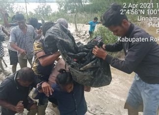 Warga Rohil Diterkam Buaya