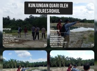 PTPN V Kebun Sei Rokan Lakukan Reklamasi
