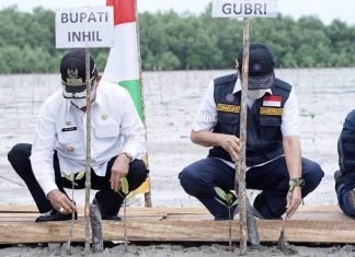 Bupati Wardan Paparkan Potensi Wisata dan Tanam Pohon Mangrove Bersama Gubernur Riau