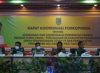 Afrizal Sintong Apresiasi Forkopimda Dalam Penanganan Covid- 19 di Rohil