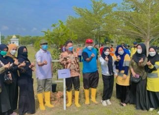 Bupati Afrizal Lakukan Penanaman Pohon di Belakang Kantor Bupai