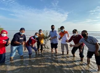 Ombak Selat Malaka Menghantam, 14 Ribu Bakau Ditanam di Bengkalis Riau