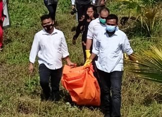 Heboh, Penjaga Kebun Temukan Mayat Pria Sudah Membusuk di Bawah Pohon Kelapa
