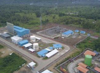 Tekan Penggunaan BBM di Pembangkit, PLN Gandeng PGN Maksimalkan Pemanfaatan Gas