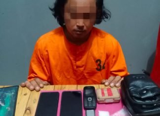 Polres Pelalawan Amankan Pengedar Narkoba di Perkebunan Sawit, DR Buron