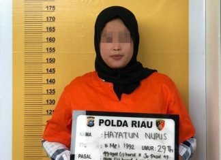 Waduh Teller Bank BRI Curi Uang Nasabah Rp 1,2 M