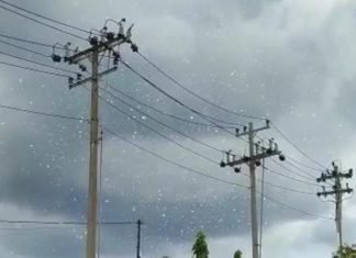 PLN Gerak Cepat Amankan Jaringan Listrik di Cilacap