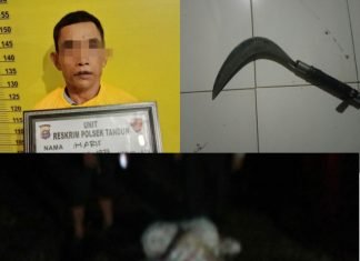 Polsek Tandun Amankan Tersangka Pencurian Buah Kelapa Sawit
