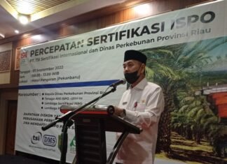 Pelaku Usaha Sawit di Riau Digenjot Memiliki Sertifikasi ISPO