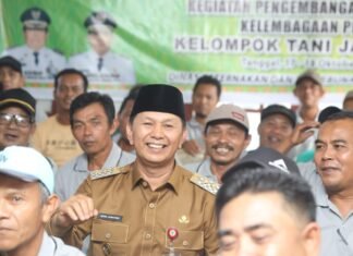 Pemkab Rohul Stabilkan Harga Sawit Bagi Lahan Bersertifikat