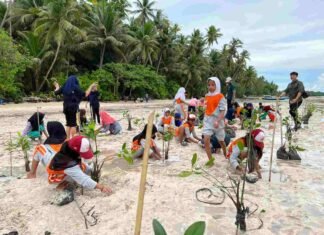 PLN Tanam Lebih dari 1,47 Juta Pohon