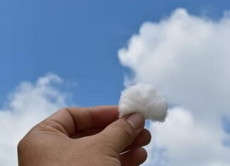 Hari Ini Riau Cerah Berawan, Malam Berpotensi Hujan