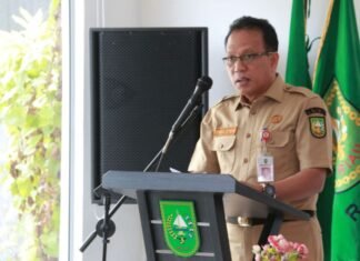 Ini Jadwap Pendaftaran CASN PPPK Guru dan Tenaga Kesehatan