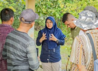 Dapat Hutan Sosial, Desa Pulau Muda Dikunjungi Tenaga Ahli Menteri LHK