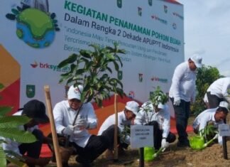 BRKSyariah Bagikan 2.000 Bibit Pohon Buah di Kampar
