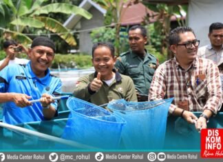 Bupati Rohul Panen Perdana Ikan Kelompok Ternak Ikan Maju Desa Giti
