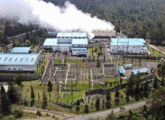 PLN dan Jepang Kolaborasi untuk Akselerasi Program Transisi Energi