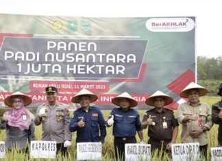 Jadikan Rohul Daerah Penghasil Komoditi Beras Terbesar di Riau