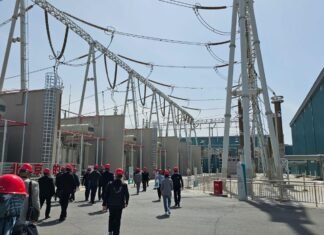 PLN Timba Ilmu Hingga ke Negeri China