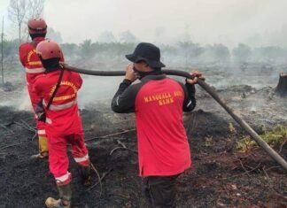 Petugas Gabungan Berhasil Padamkan Karhutla di Pelintung Dumai