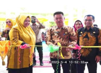 Bupati Rohil Resmikan UPT Instalasi Farmasi Dinas Kesehatan