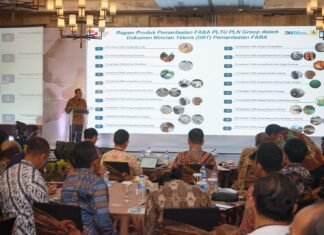Pemerintah Dorong PLN Perluas Pemanfaatan FABA PLTU