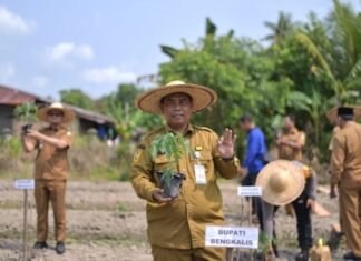 Bupati Bengkalis Terus Dorong Produktivitas Pertanian