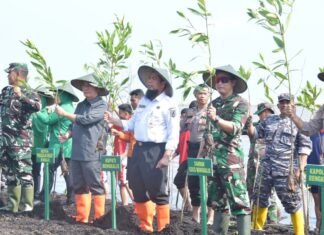 Bupati Kasmarni Sambut Baik, Kegiatan Penghijauan dan Penanaman Mangrove