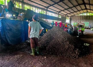 PLN Kolaborasi dengan Pemda Banyumas Manfaatkan Sampah untuk Co-firing PLTU