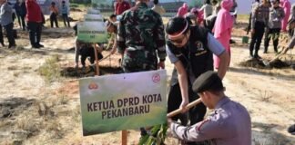 Pimpinan DPRD Pekanbaru Tanam Pohon Bersama Kapolresta