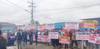 Tuntut HGU 20 Persen, Ribuan Masyarakat Kabun Demo di PT Padasa Enam Utama