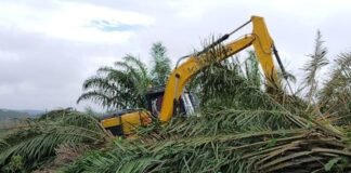 Perambahan TNTN, Pengamat Hukum: Harus Diproses