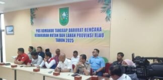 Pemprov Riau Ambil Langkah Cepat, Status Tanggap Darurat Karhutla Diperpanjang 14 Hari