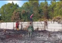 Lahan Gambut Terindikasi Sengaja Dibakar