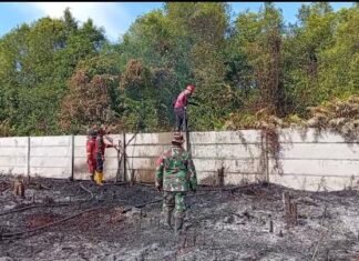 Lahan Gambut Terindikasi Sengaja Dibakar