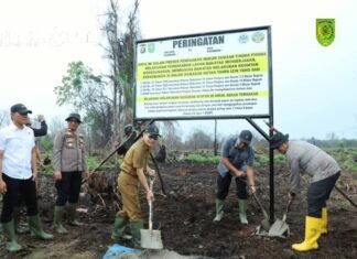 Bupati Inhil Pasang Papan Peringatan di Lokasi Bekas Karhutla