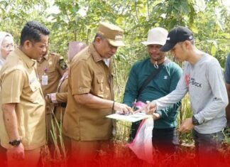 Pemkab Rohul Siapkan 5 Hektare Bangun Sekolah Rakyat