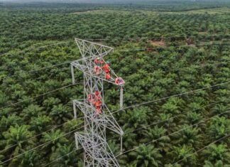 PLN Dorong Interkoneksi ASEAN Power Grid untuk Akselerasi Transisi Energi Bersih