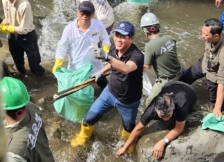 PLN dan KLH Gelar Aksi Bersih DAS Ciliwung, Angkut 176 Kg Sampah dan Tanam 2.500 Pohon