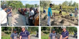 Goro Massal, DLH Rohil Bersihkan Median Jalan di Pelabuhan