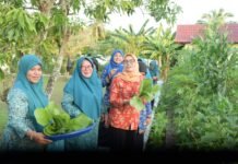 Ketua TP-PKK Ajak Masyarakat Tanam Sayur dengan Memanfaatkan Lahan Kosong