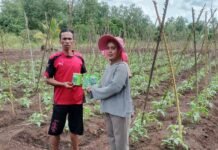 Tepis Tudingan, Pemdes Pulau Muda Tegaskan Penggunaan Dana Desa Sesuai Aturan