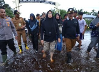 Tinjau Banjir, Bupati Afni Pastikan Penanganan Cepat dan Tepat