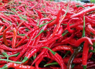 Cabai Merah dan Emas Perhiasan Jadi Pendorong Utama Inflasi Riau