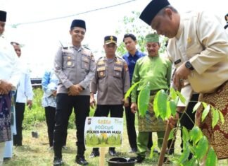 Bupati Bersama Polres Rohul Tanam Pohon di Komplek Pematang Baih