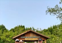 Anggota DPD RI Abdul Hamid Kunjungi Kawasan Mangrove Paghet Seghaghah