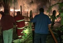 Puluhan Ternak Kambing dan Ayam Ludes Terbakar Akibat Api Unggun