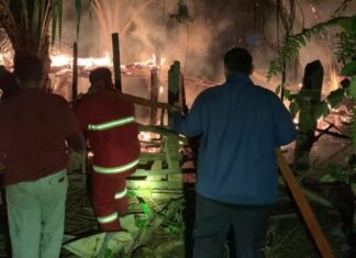 Puluhan Ternak Kambing dan Ayam Ludes Terbakar Akibat Api Unggun