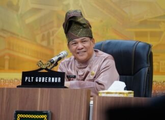 Indeks Desa Riau Peringkat 10 Nasional, 1.591 Desa di Riau Berstatus Maju dan Mandiri